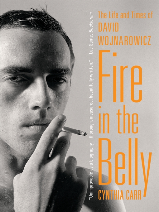 Cover image for Fire in the Belly